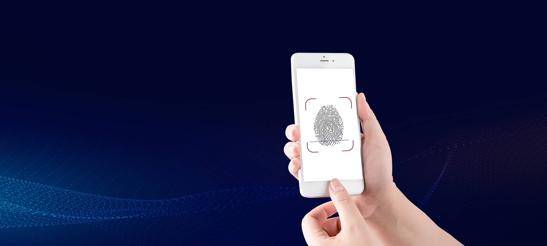 Fingerprint identification module products